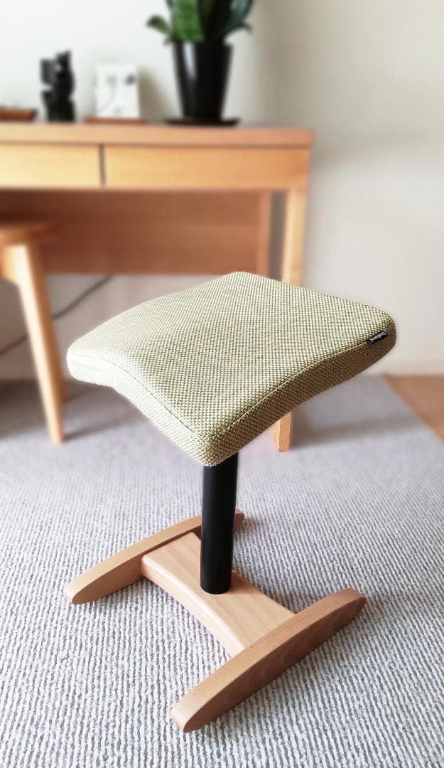 美品 Balans Synergy バランスシナジー カバー付 北欧 腰痛