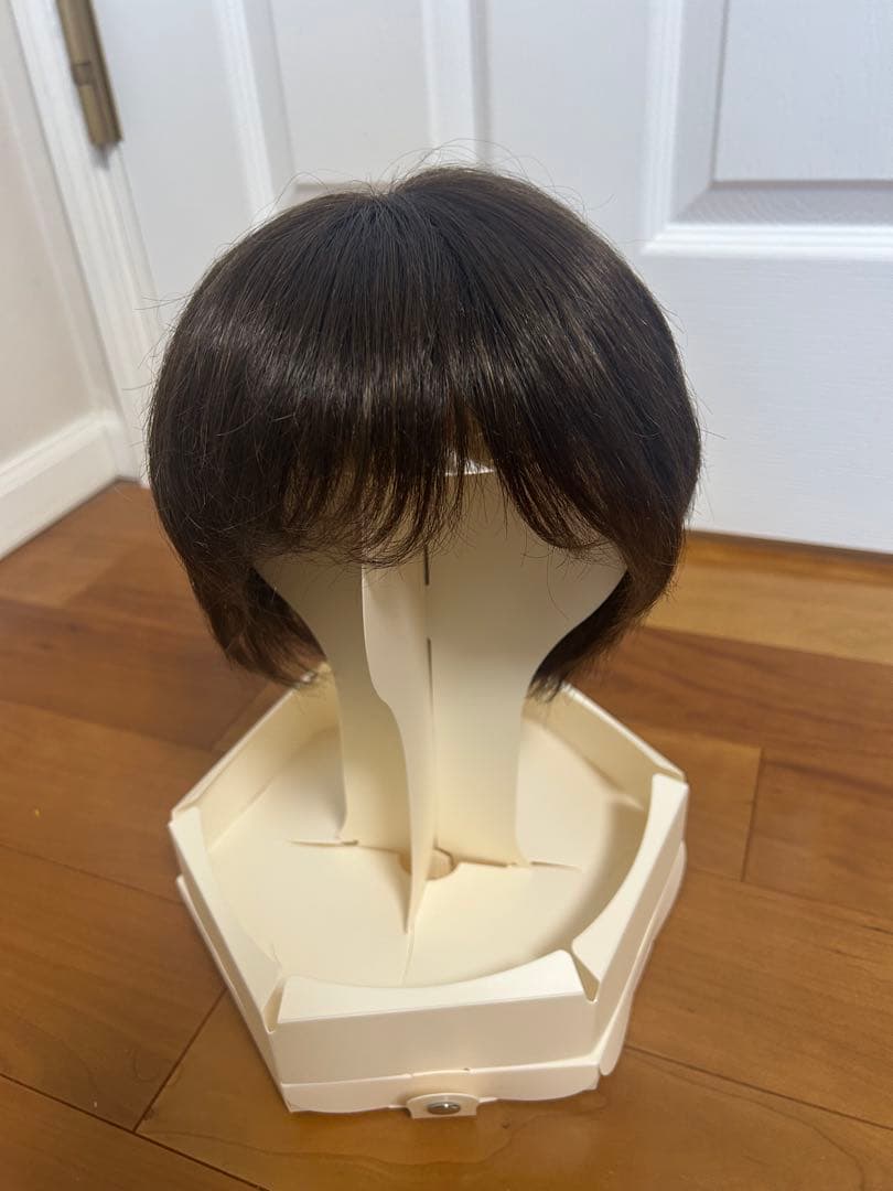 ジュリアオージェ　アートネイチャー 医療用ウィッグ　ANCS お手入れセット付