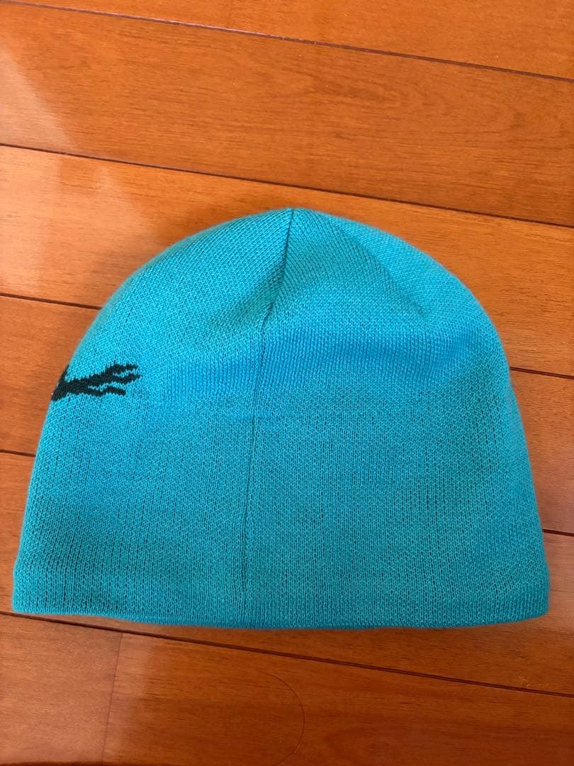 帽子 Arc'teryx Bird Head Toque