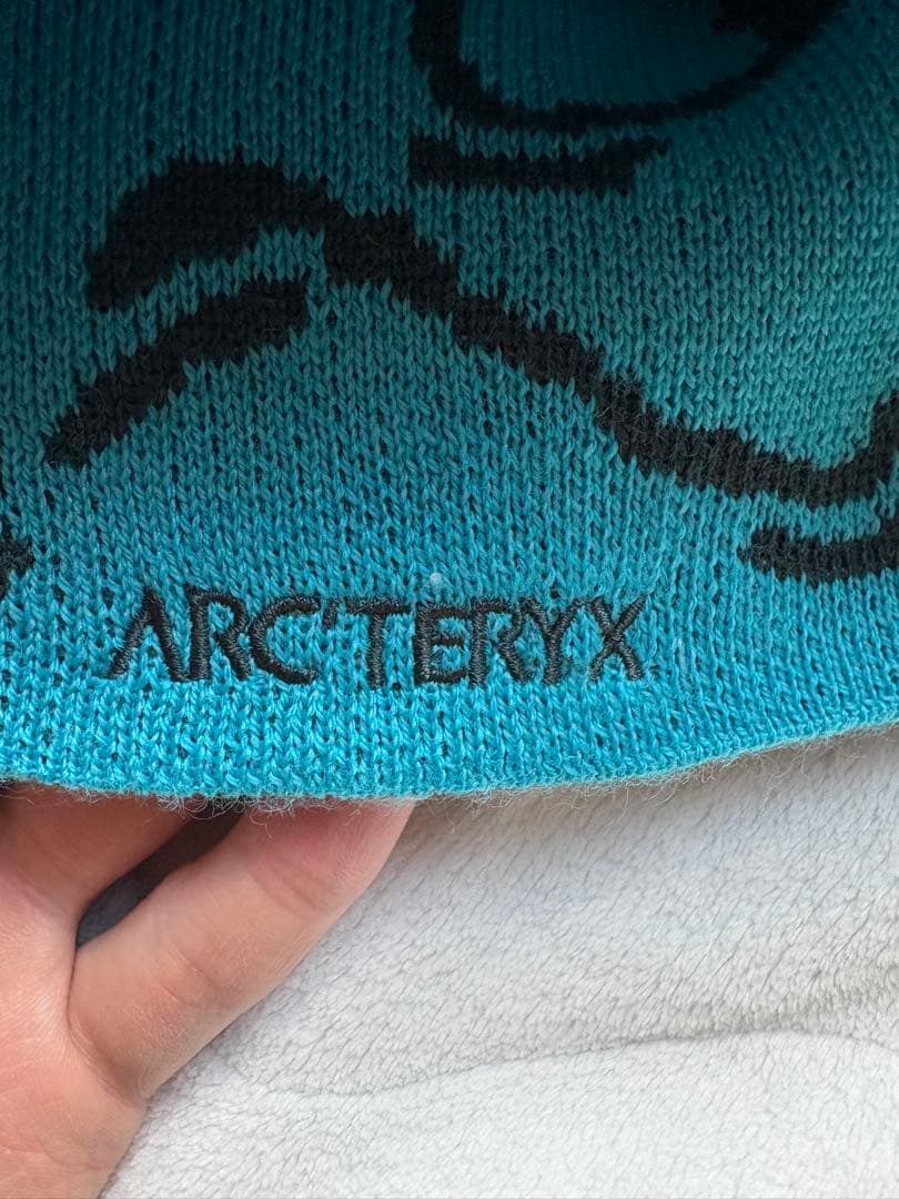 帽子 Arc'teryx Bird Head Toque