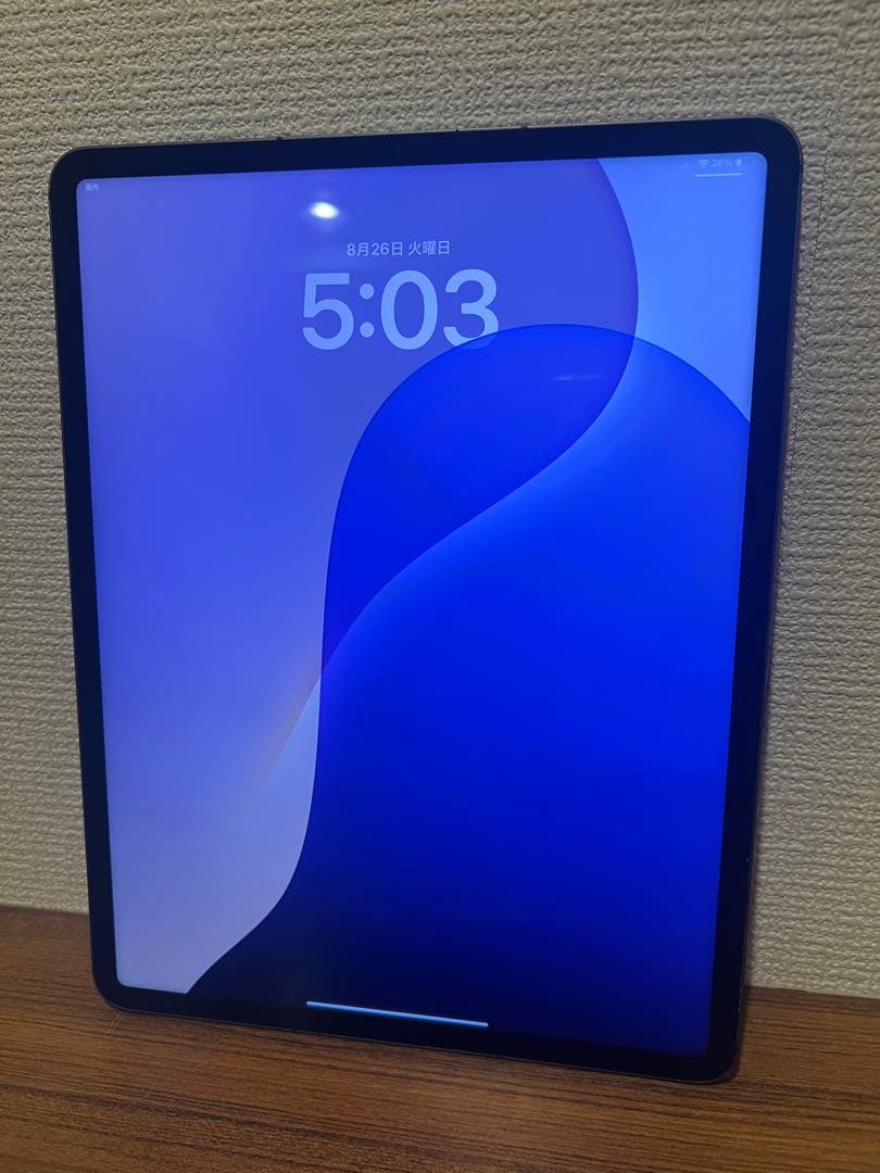 iPad Pro 12.9 第5世代 128GB Simフリー ジャンク