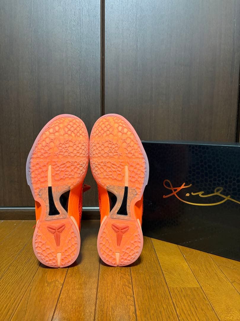 ナイキコービー6プロトロ