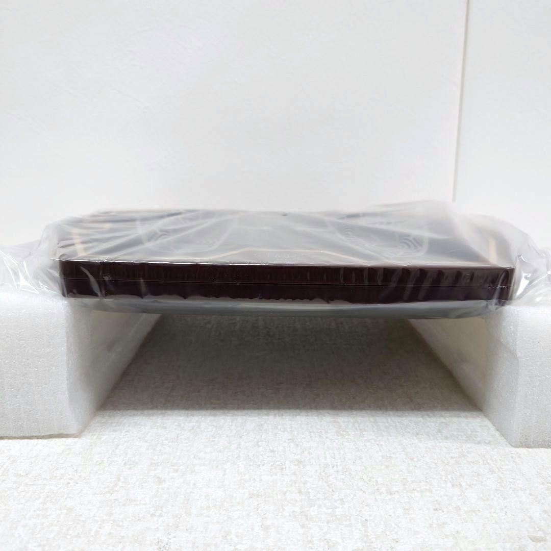 M0209D1 未使用★保阪尚希監修 フットエナジー プロ FE-002BRGD