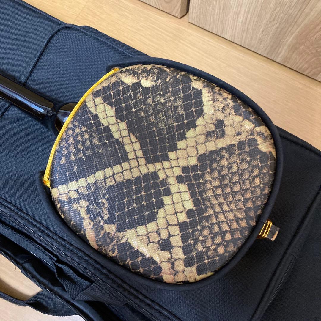 三線本体 ケース付き