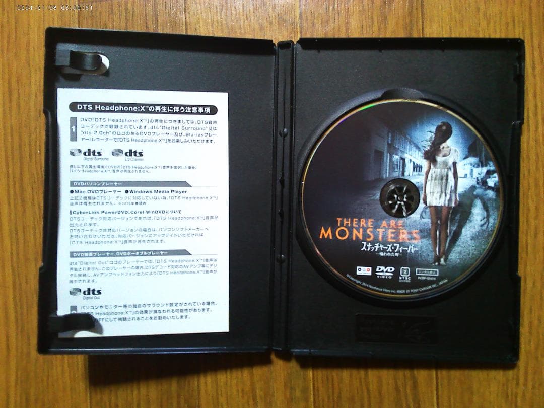 スナッチャーズ・フィーバー －喰われた町－