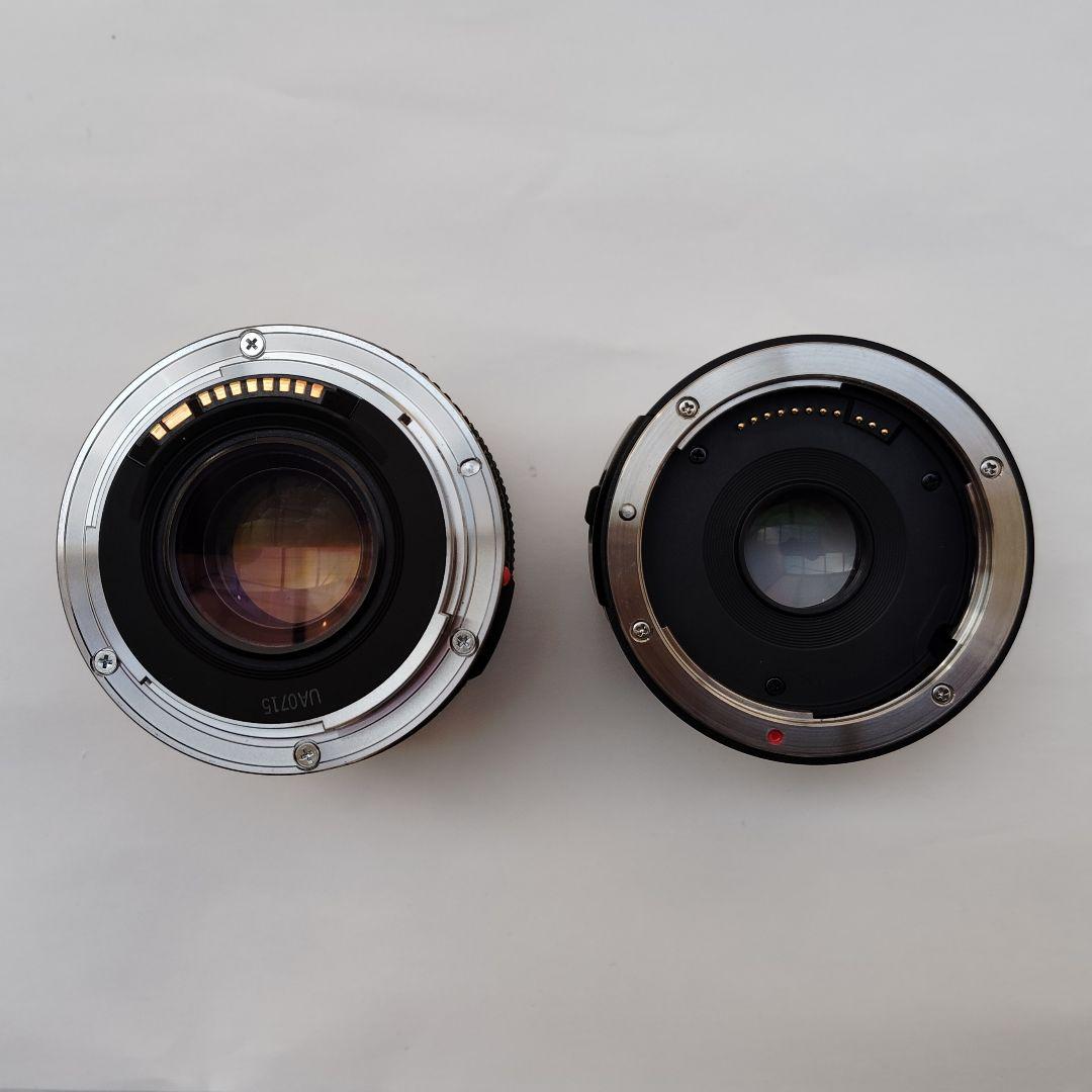 キャノン コンパクトマクロレンズ＋ライフサイズコンバーター