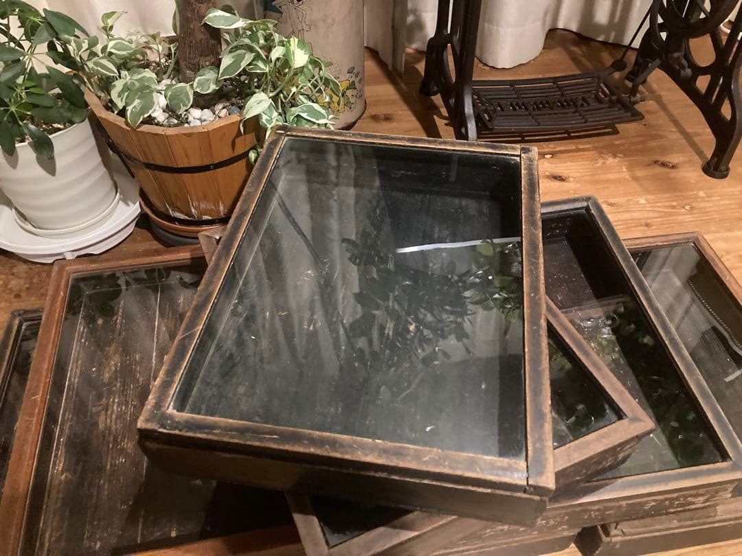 【まとめ買い歓迎】アンティーク　古い木製ガラスケース　お菓子ケース　収納箱　1台