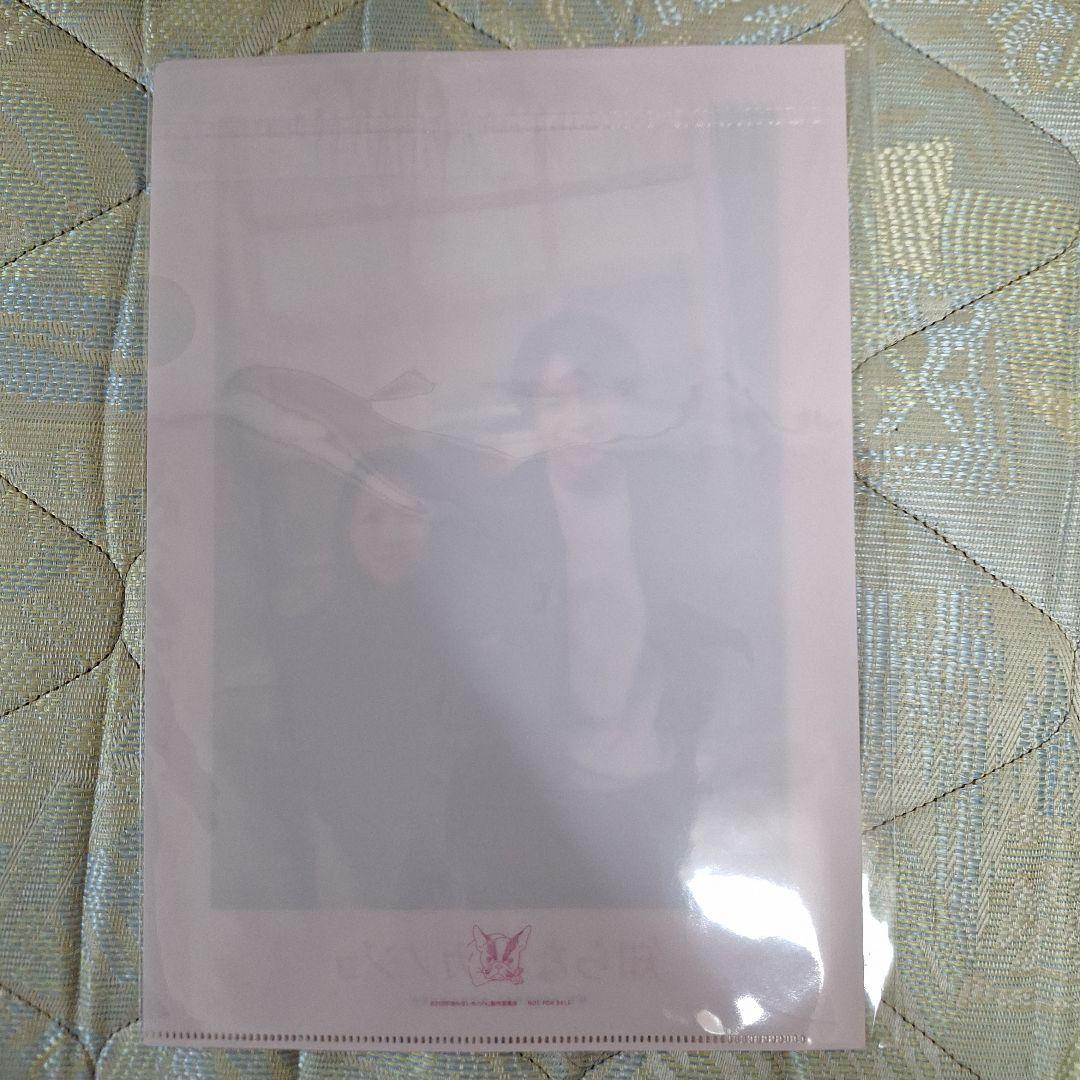 【知らないカノジョ】コレクターズ・エディション('25映画)【僕は妹に恋をする】