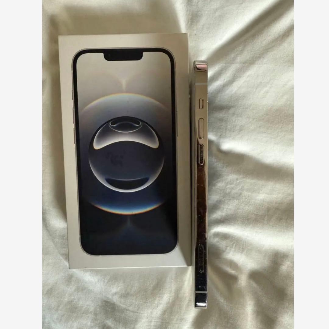 【即日発送】iPhone 12 Pro シルバー 256GB 初期化済み