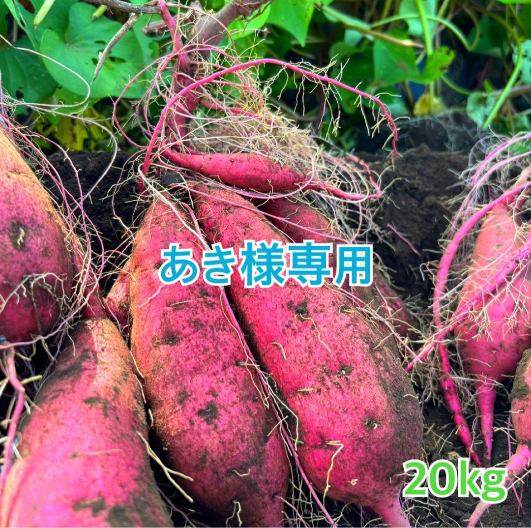 熊本県産さつまいも 紅はるか 自然栽培 20kg 専用ページ