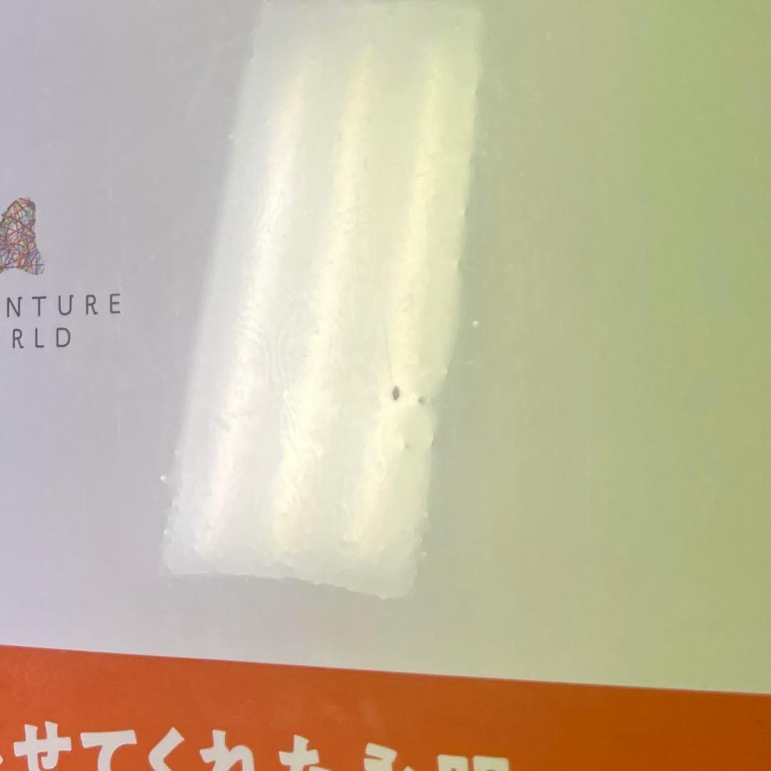 ジャイアントパンダ　永明30歳記念 写真集「永明からつながるスマイルストーリー」