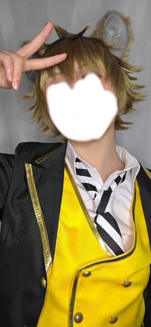 ラギーフルセット【耳、しっぽ、衣装】