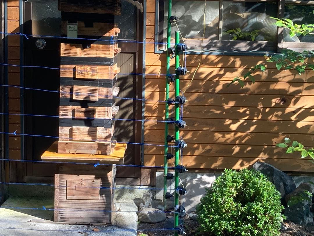 日本ミツバチのハチミツ　たれ蜜　300g×3個❣️送料込‼️ ¥8,640