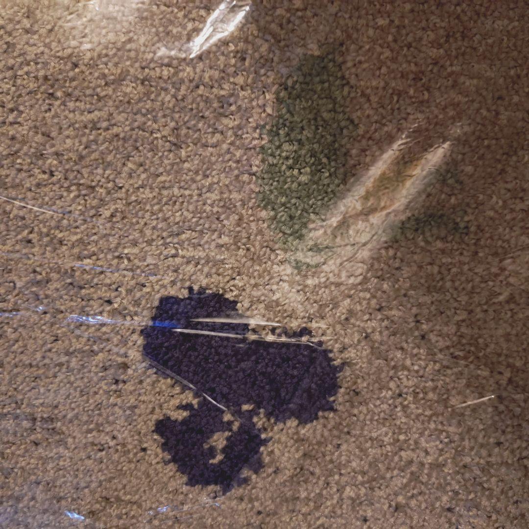 【未使用】cucan日本製1.5畳ラグマットゴム・接着剤不使用ブルーベリー柄