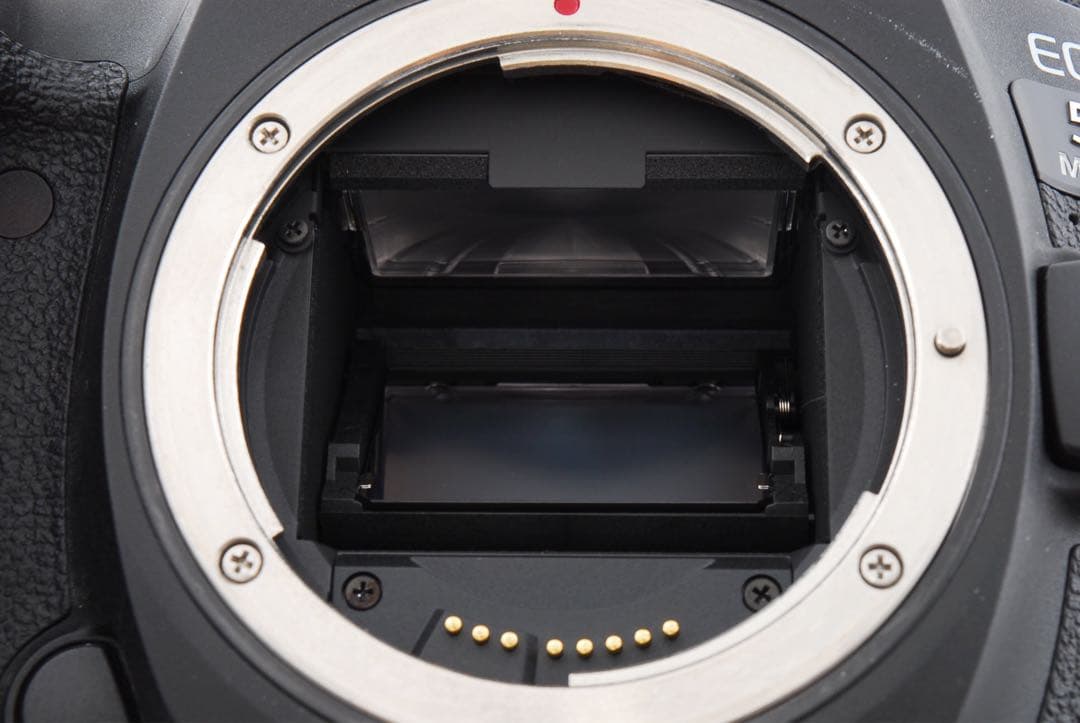 【保証付】Canon EOS 5D Mark IV標準&望遠&単焦点レンズセット