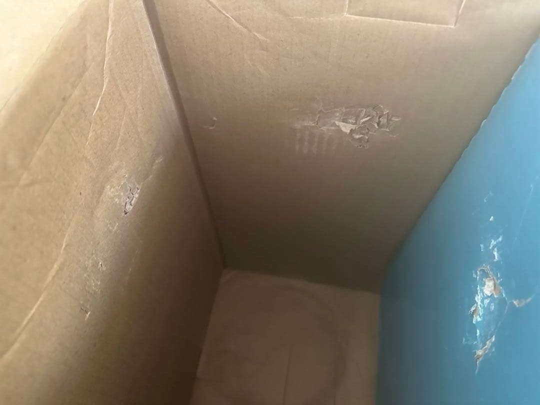 エーハイム　クラシック2215(フィルターパット3種、ろ材2種 非同梱)