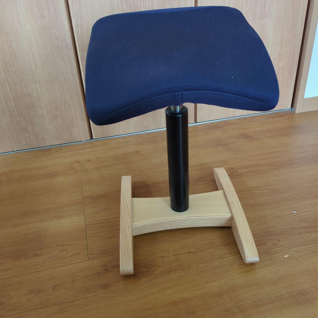 Balans Synergy バランスシナジー　スクエアシート　専用カバー付腰痛