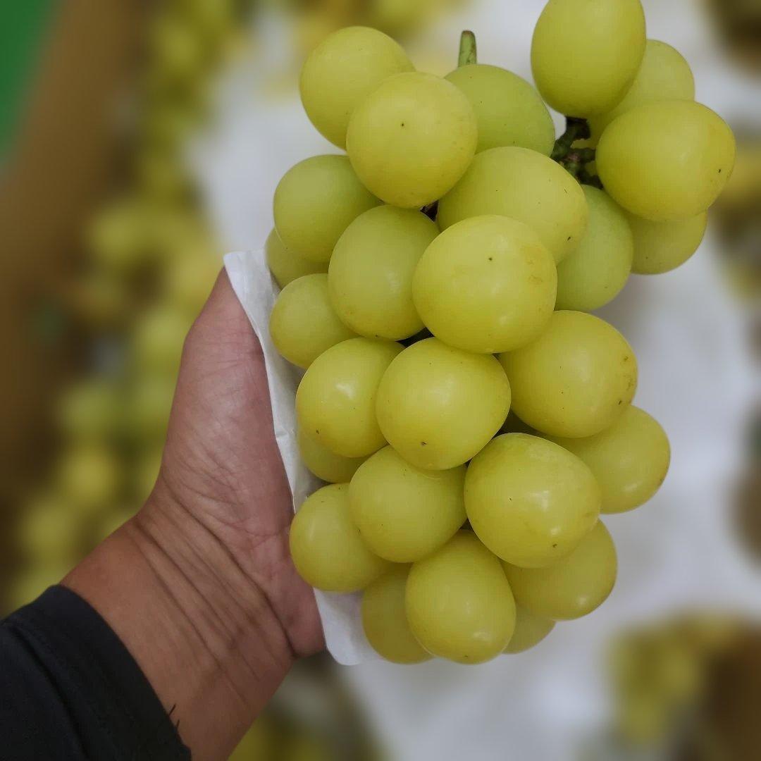5️⃣ 山梨県産 シャインマスカット １１房入り 箱込み5.7キロ