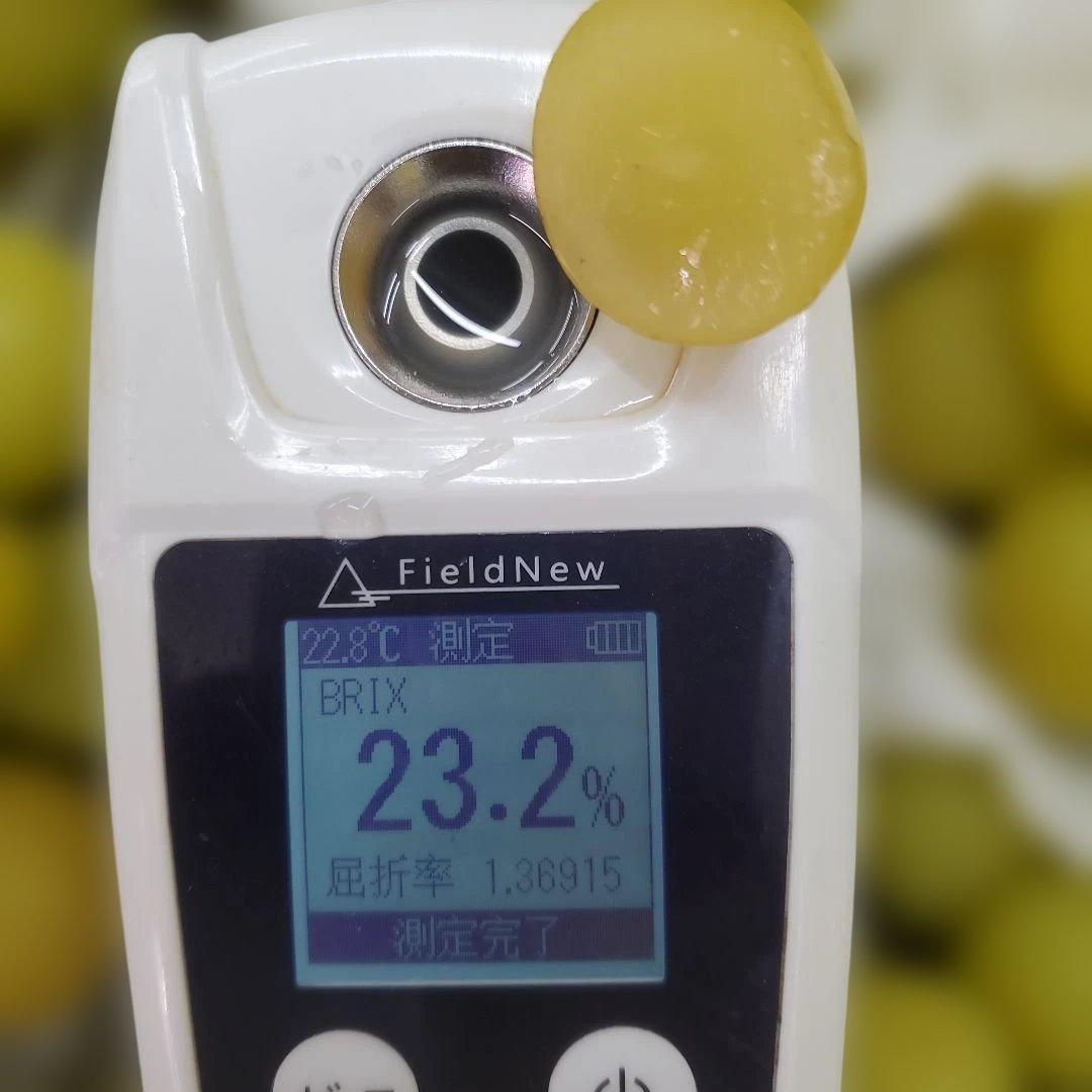 5️⃣ 山梨県産 シャインマスカット １１房入り 箱込み5.7キロ