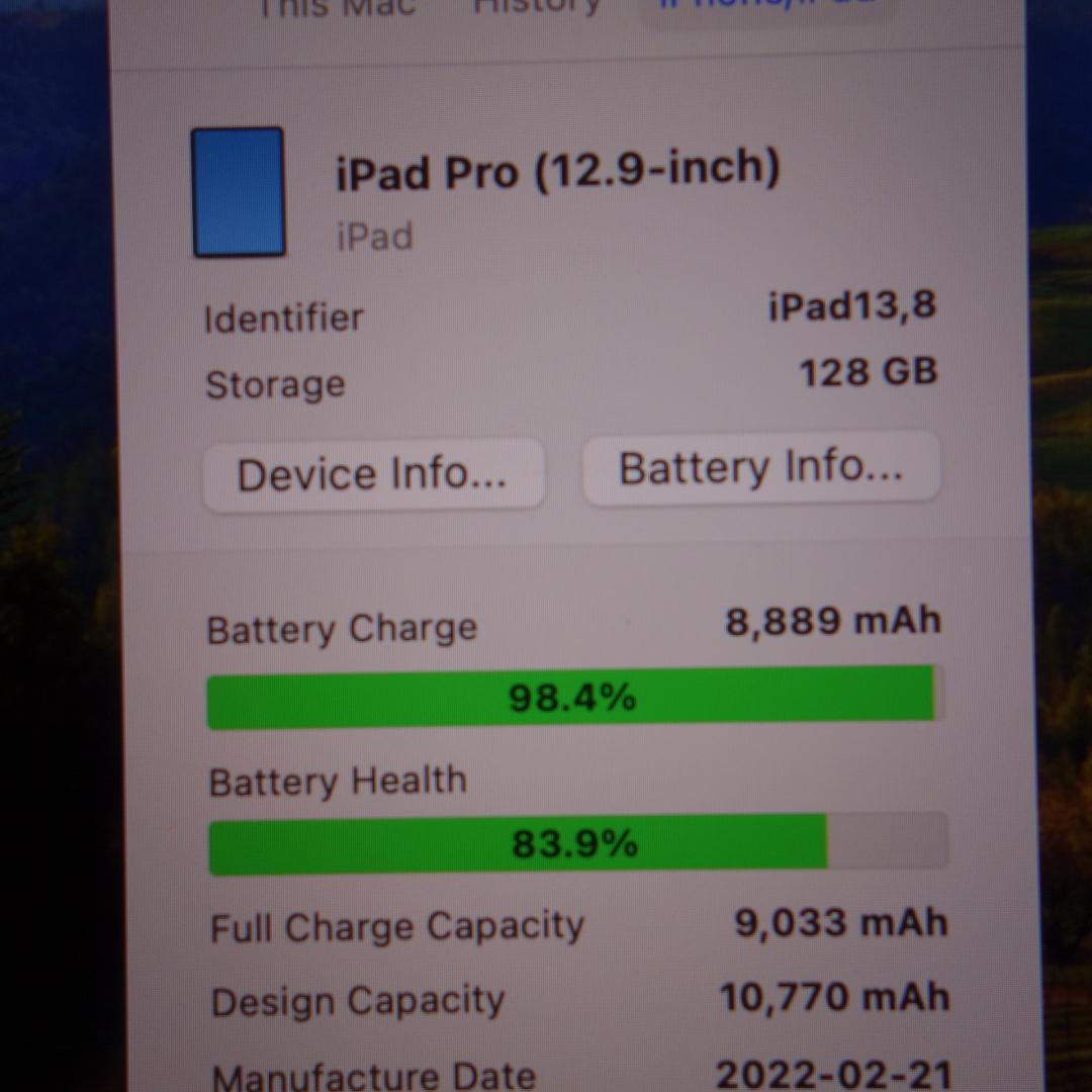 240）訳あり iPad PRO 12.9インチ（第5世代） 128GB