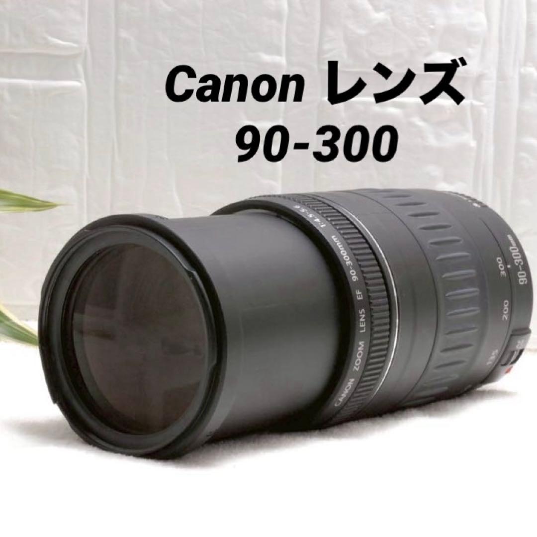 ⭐️キャノン Canon EF 90-300mm F/4.5-5.6 望遠レンズ