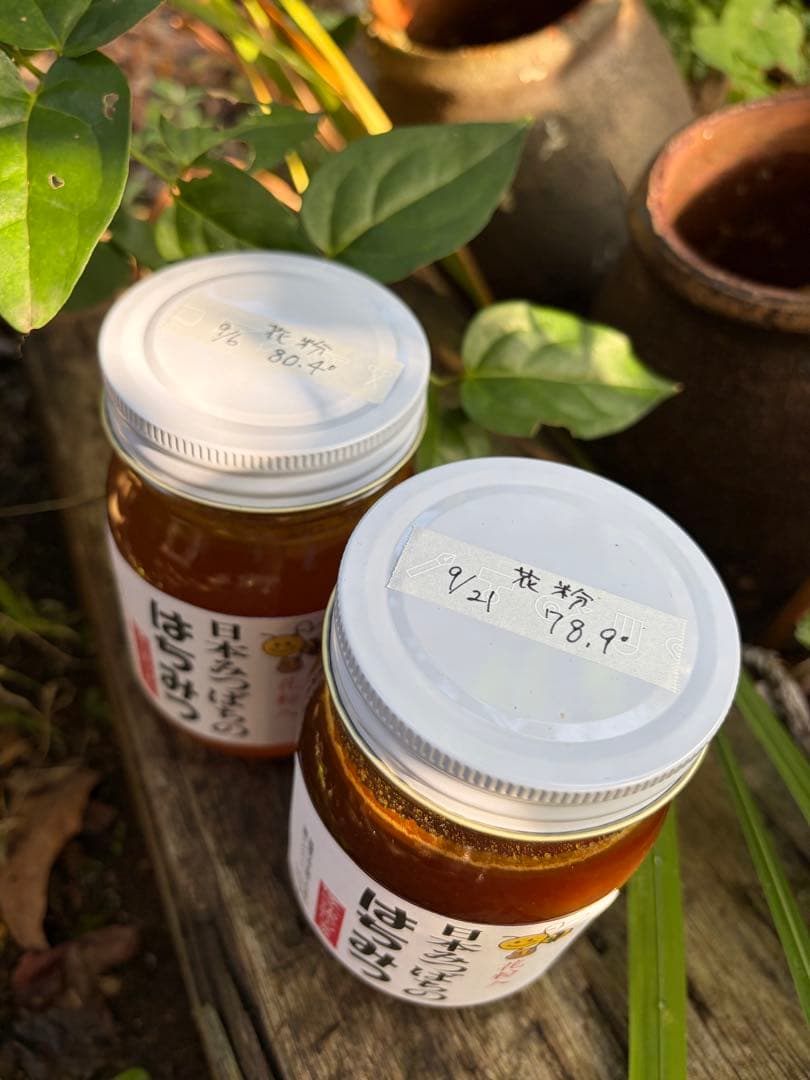 はちみつ　日本蜜蜂のハチミツ　奥山の蜂蜜　花粉入り　２種