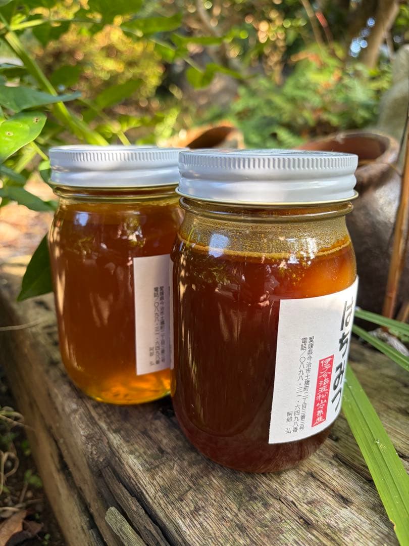 はちみつ　日本蜜蜂のハチミツ　奥山の蜂蜜　花粉入り　２種