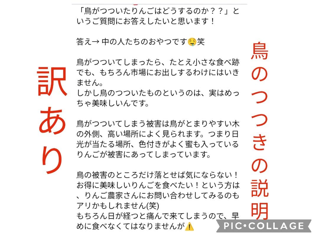 訳ありりんご　鳥のつつき 1キロ　商品説明