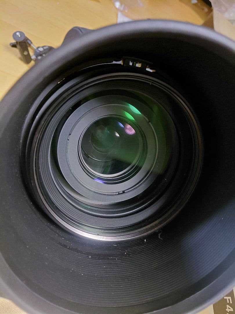 しょうSIGMA 60-600mm F4.5-6.3 DG OS HSM