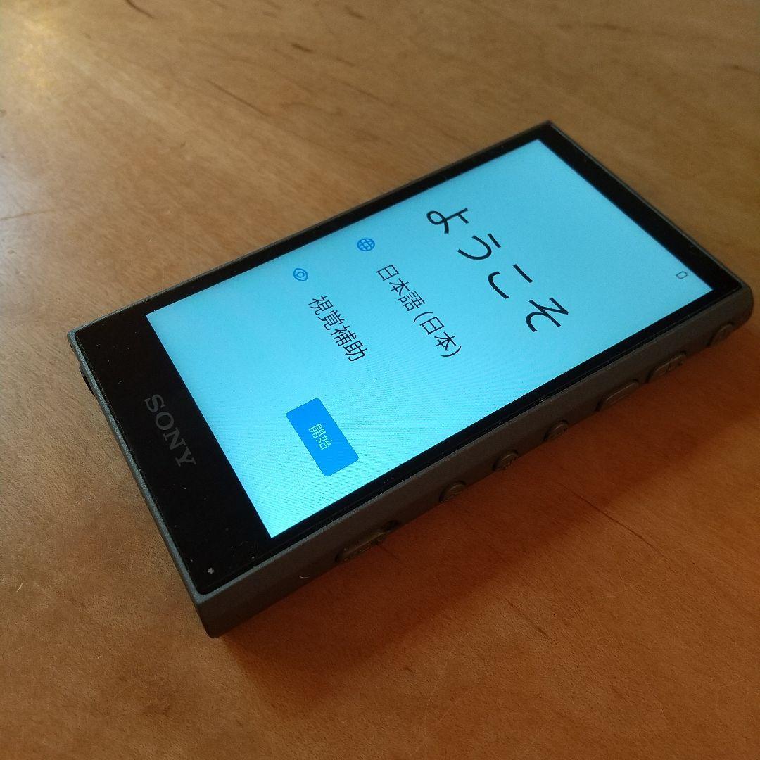 SONY NW-A306 32G & ソストケース & 画面保護フィルム貼付済