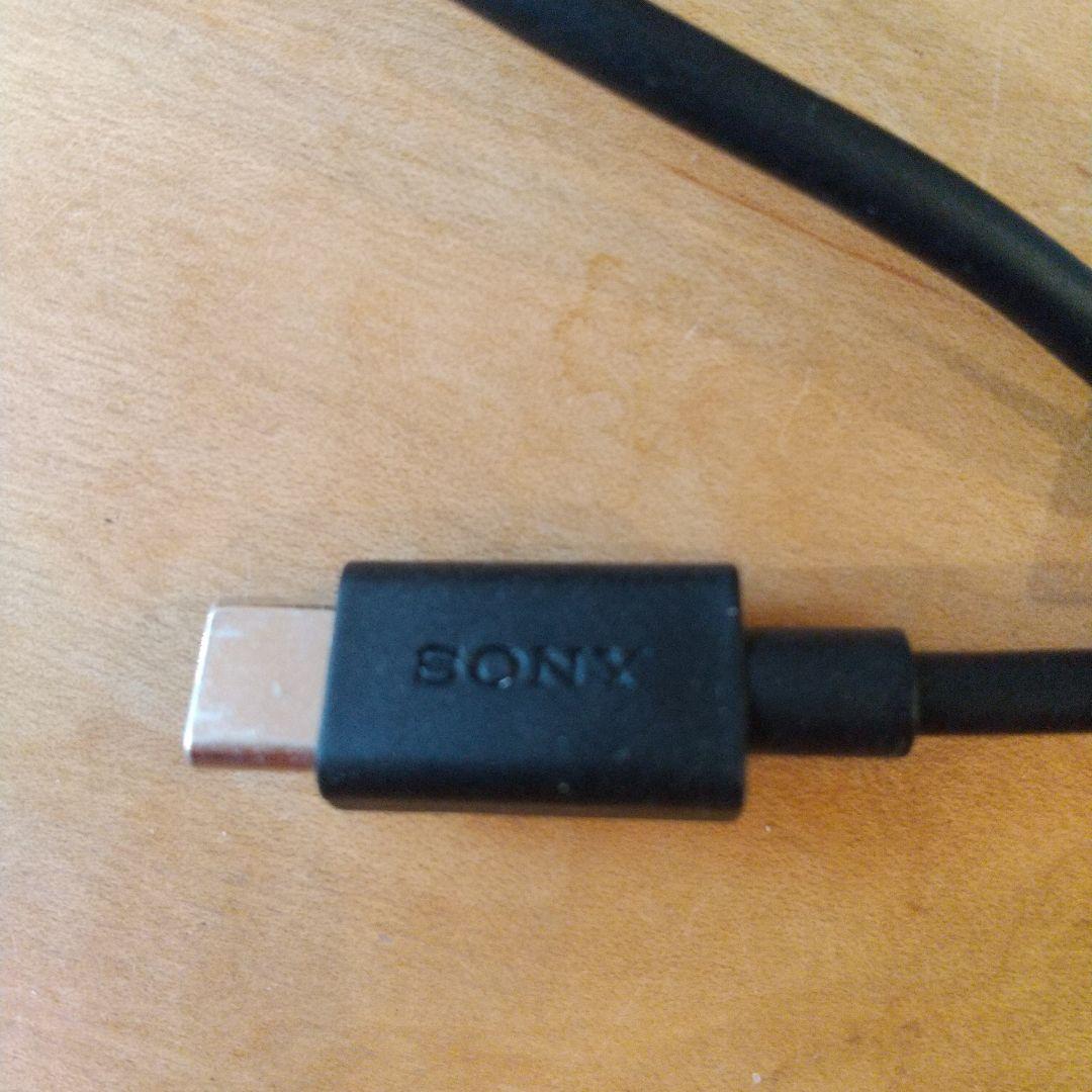 SONY NW-A306 32G & ソストケース & 画面保護フィルム貼付済