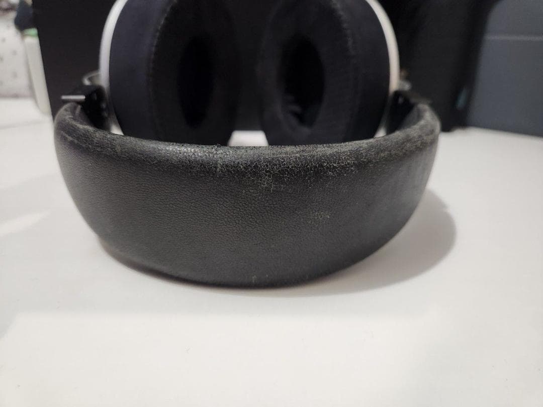 Final D8000 Pro Edition Silver 開放型ヘッドホン