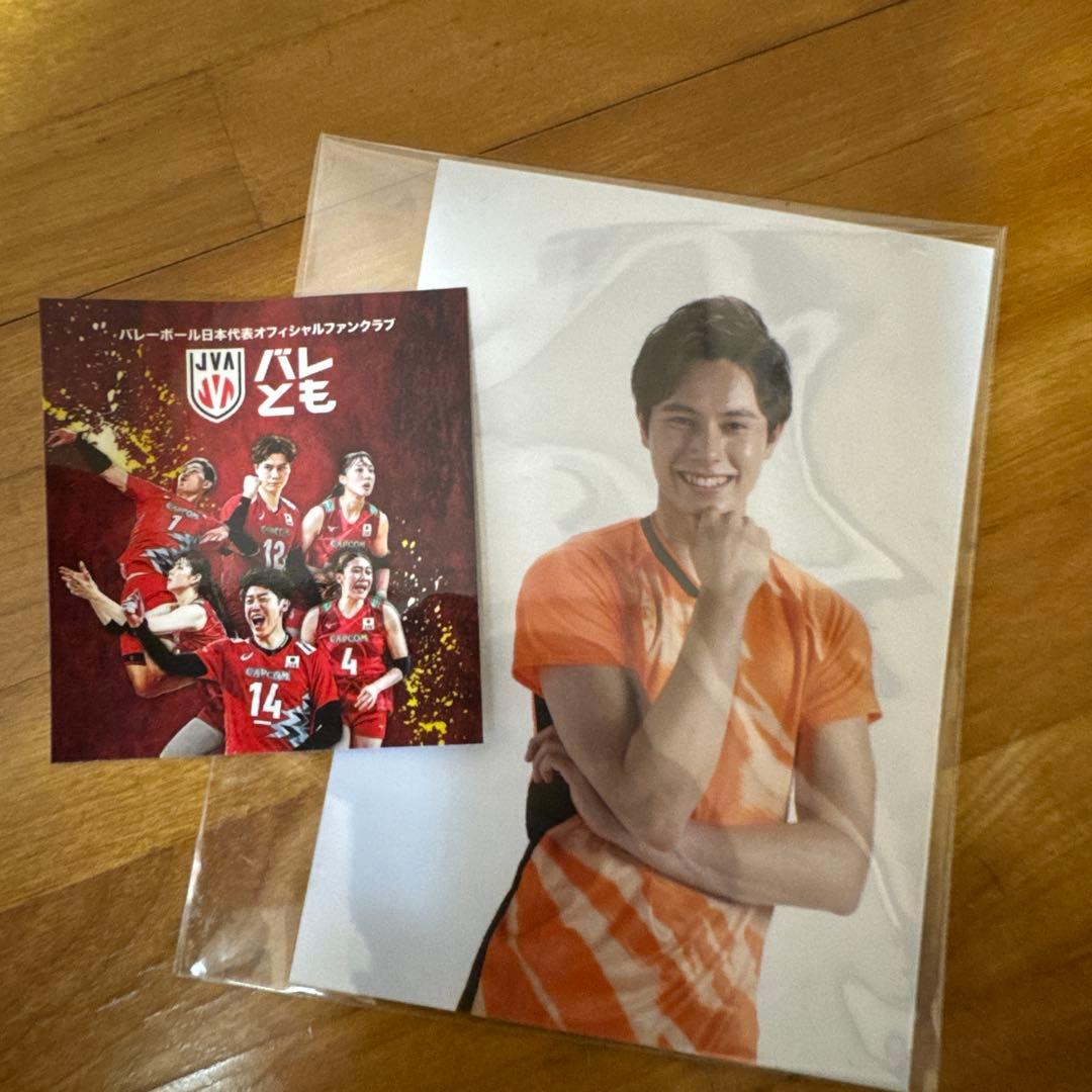 新品⭐︎高橋藍 ぬいぐるみ キーホルダー ファンミ限定ブロマイド写真付 サントリー