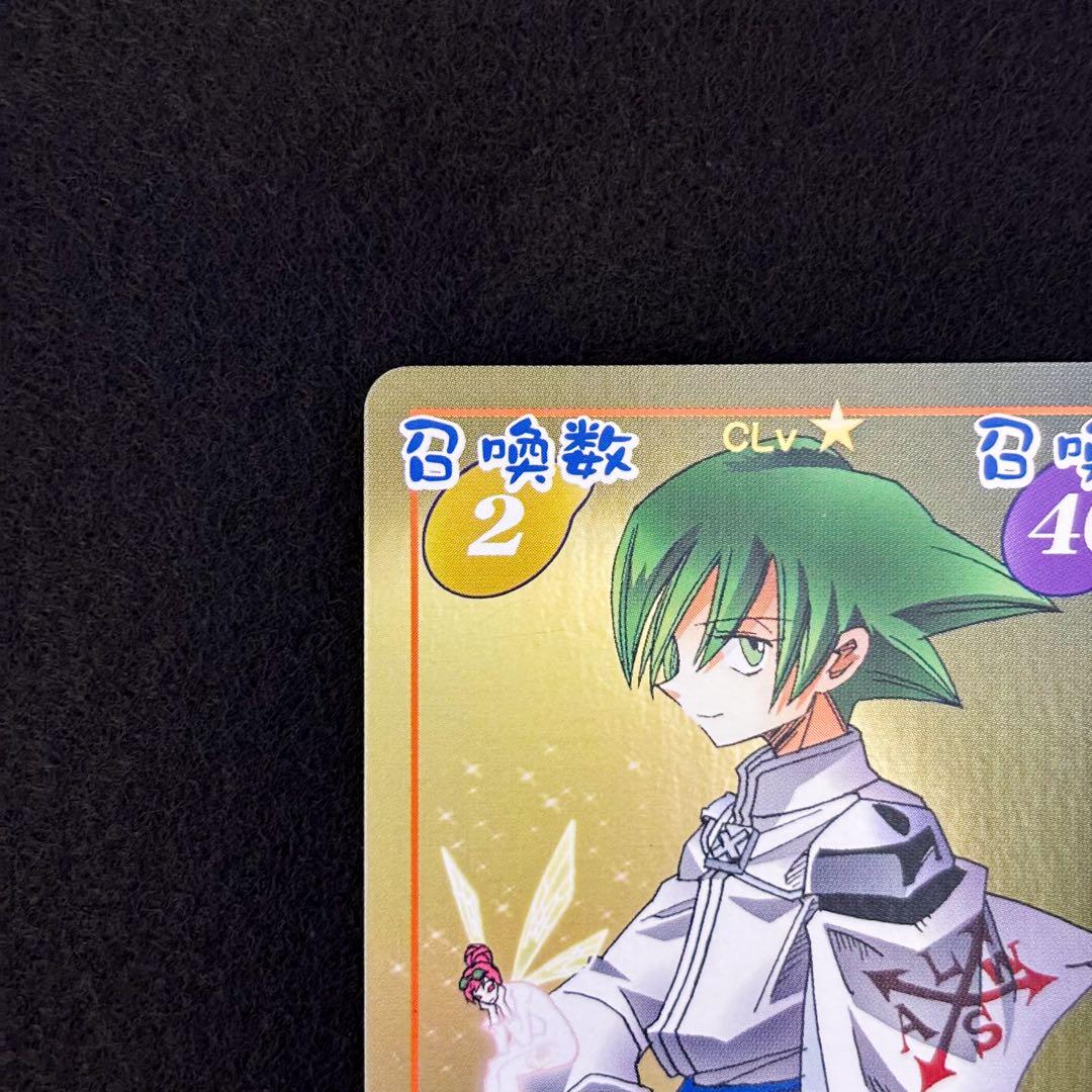 シャーマンキング　超占事略決　スペシャルレア　リゼルグ