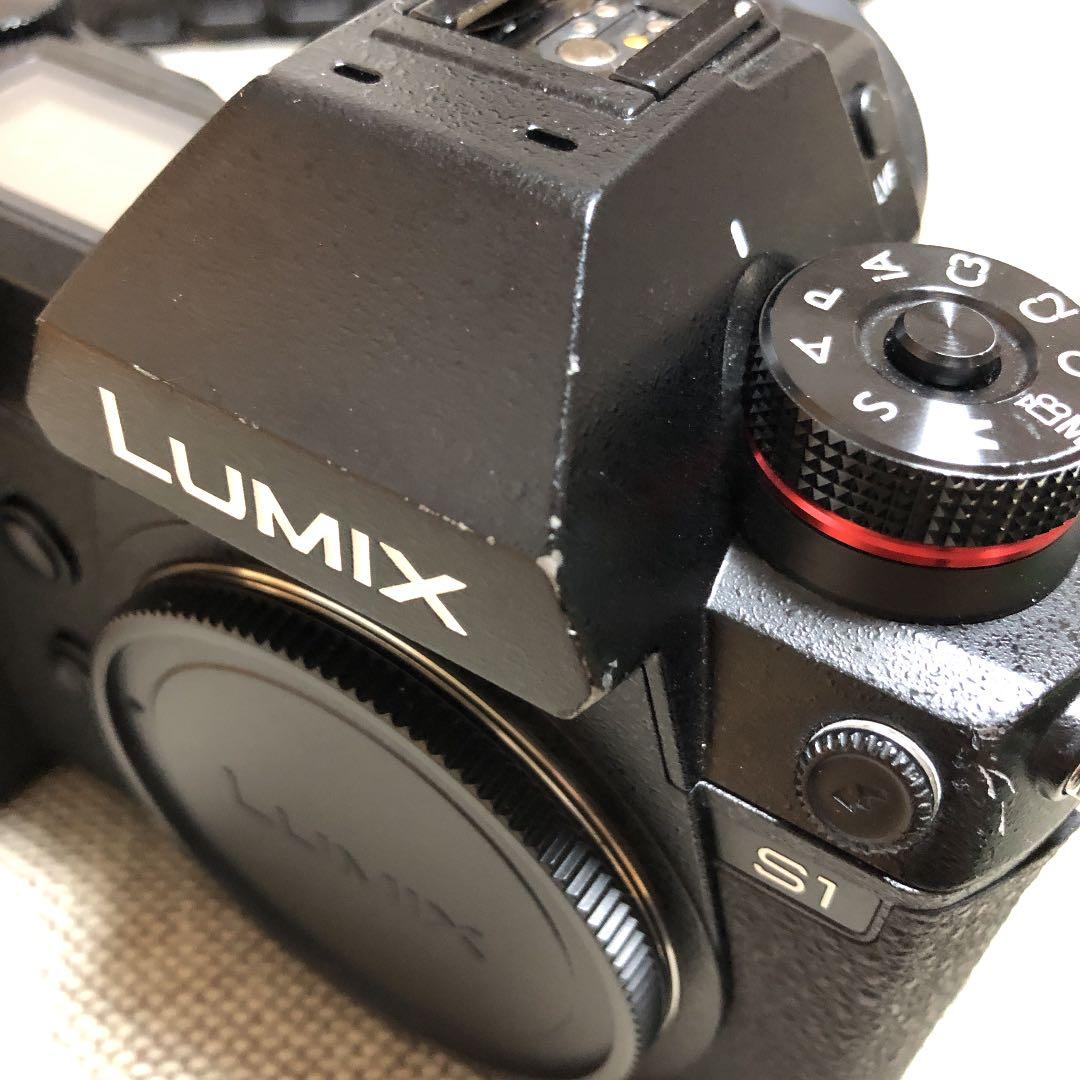 ★Panasonic LUMIX DC-S1