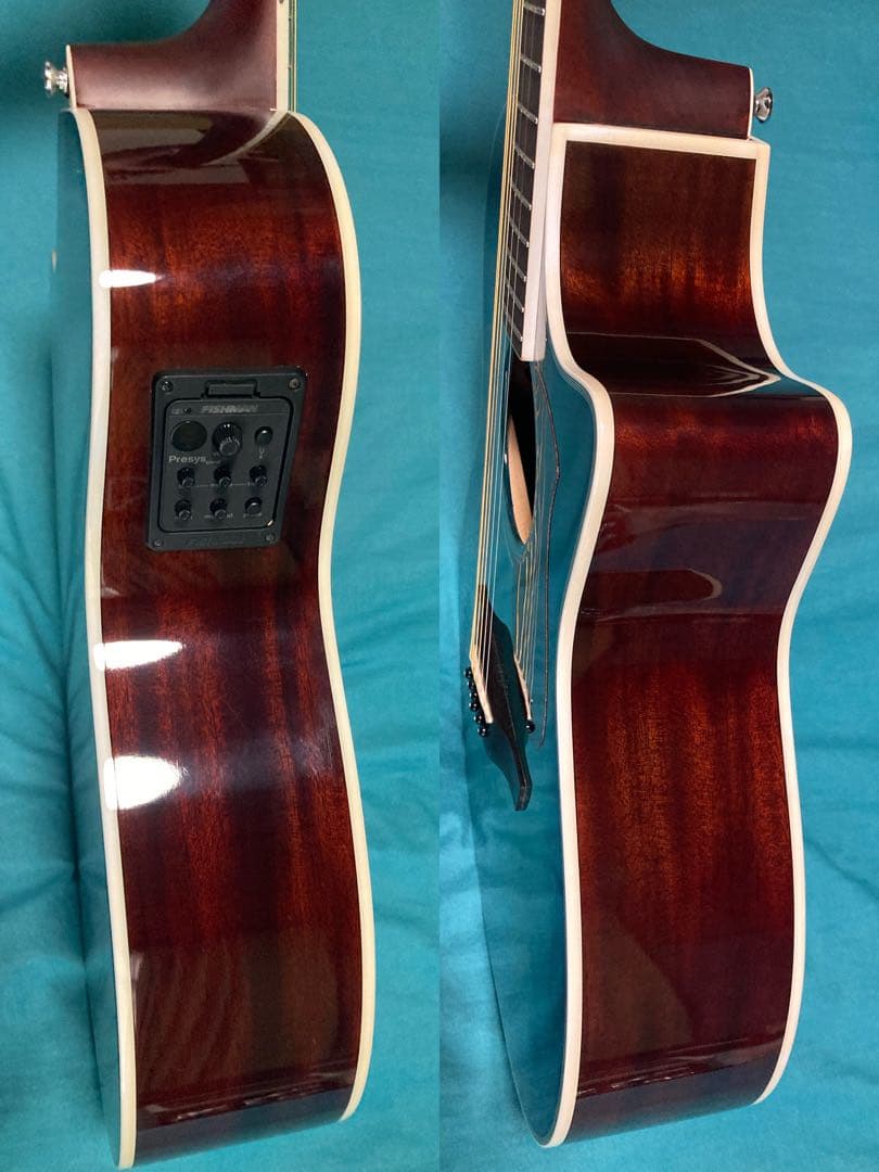 James J-350C/EBU ジェームスエレアコギター