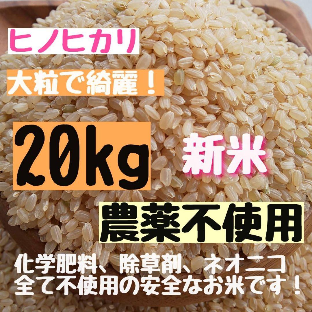 【綺麗な大粒揃い】農薬不使用 化学肥料不使用 ヒノヒカリ 玄米 20kg