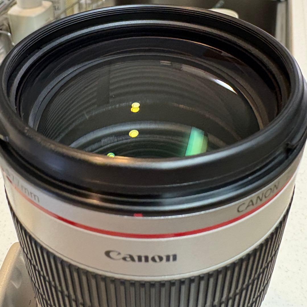 【値下げ】Canon EF 70-200mm f/2.8L IS II USM