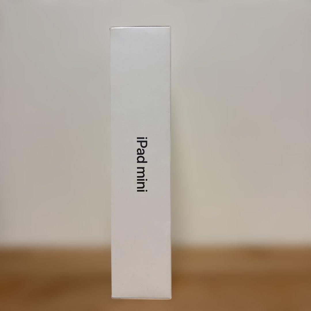 apple iPad mini (第5世代) 256GB WiFi版　グレー