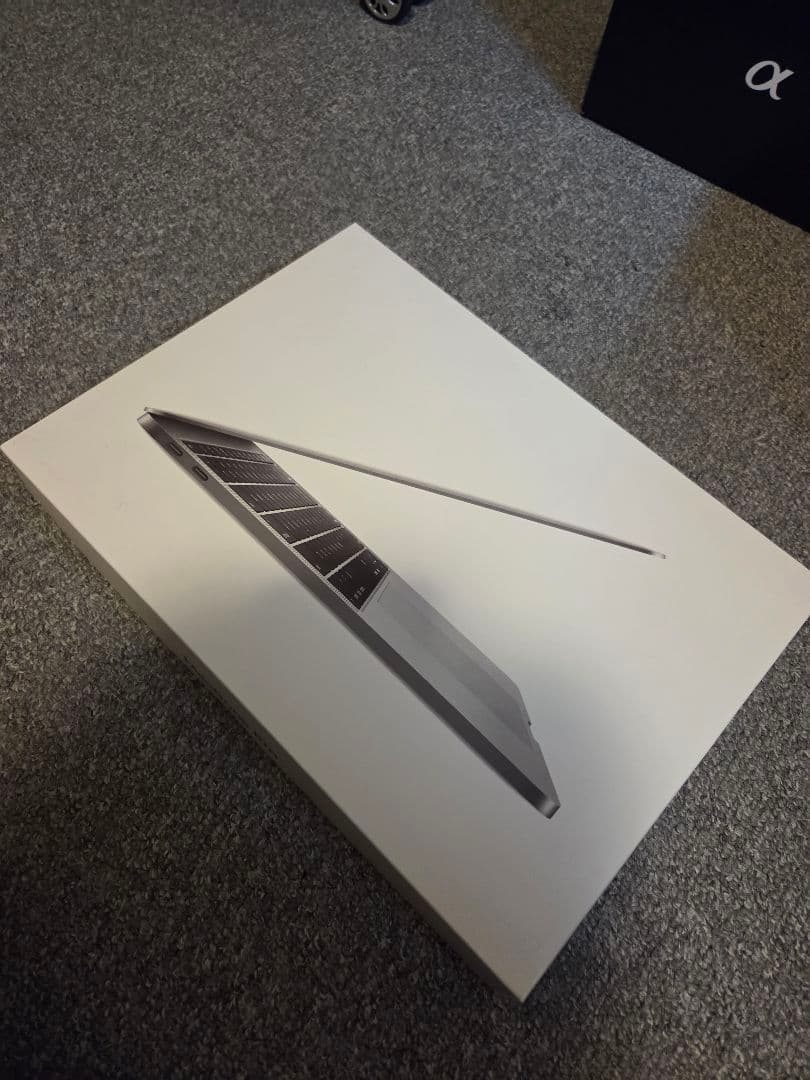 MacBook本体 Macbook Pro M1 256GB