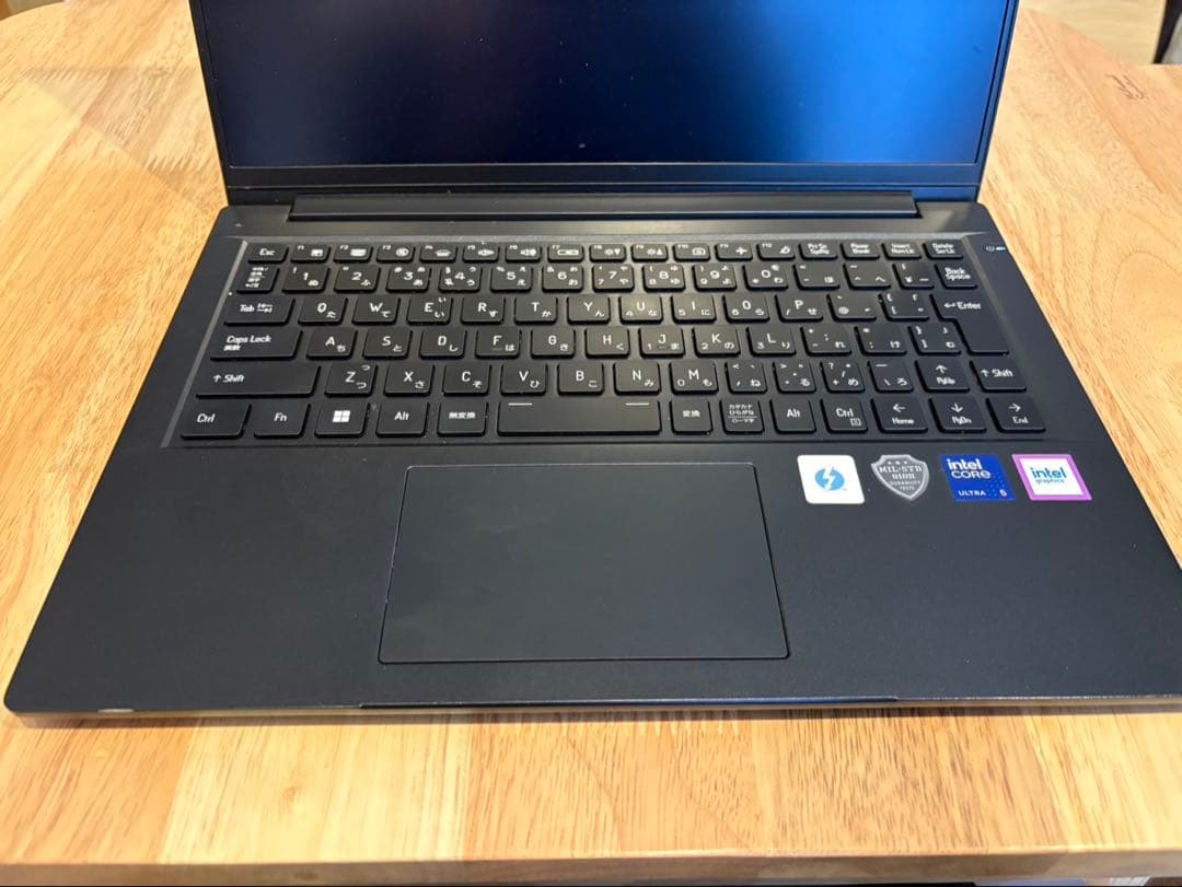 THIRDWAVE F-14MTL ノートPC 16GB/125GB