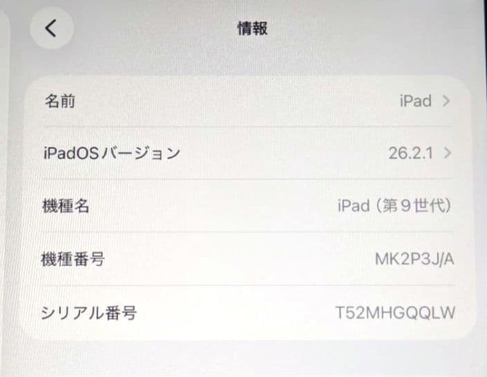 iPad 第9世代 256GB Wi-Fi シルバー 物理ボタン最終モデル
