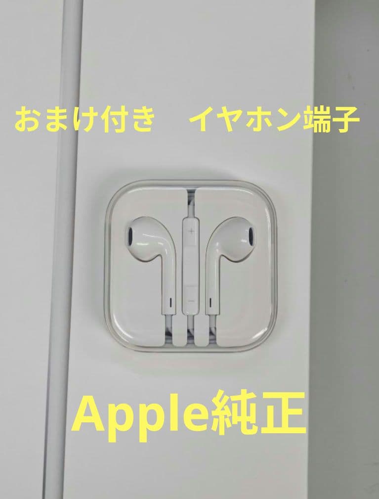 iPad 第9世代 256GB Wi-Fi シルバー 物理ボタン最終モデル