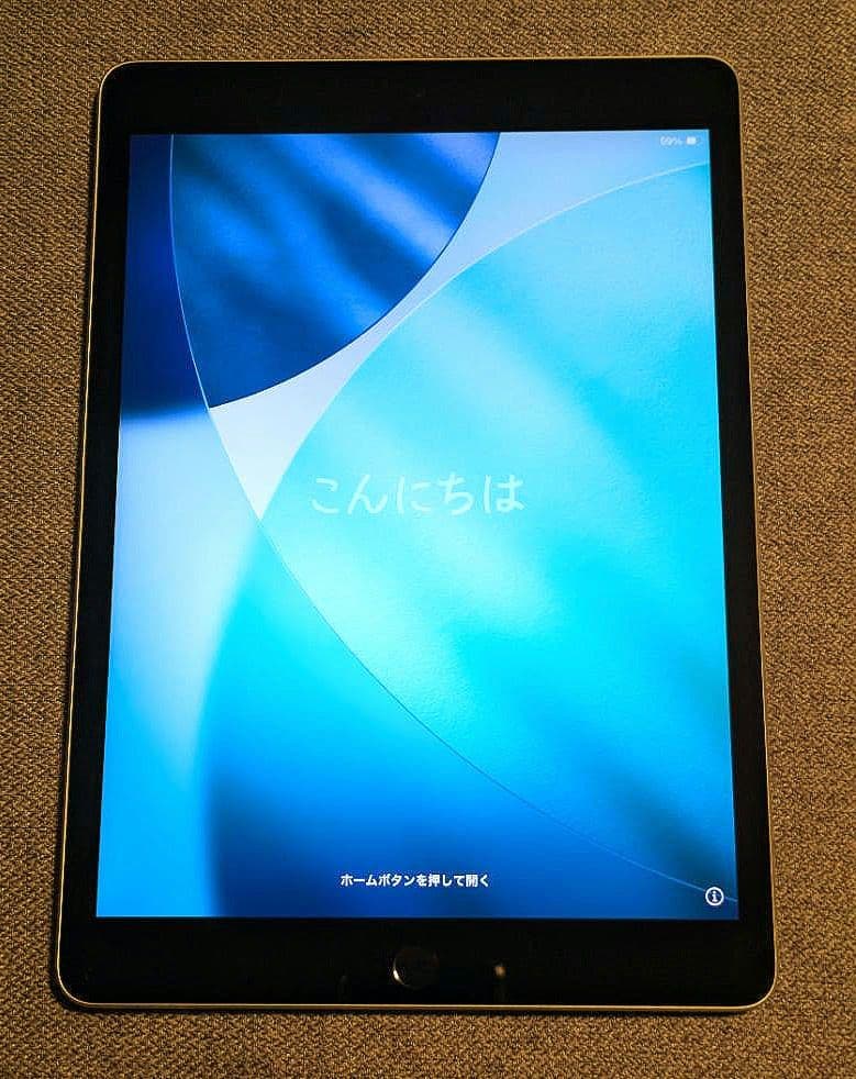 iPad 第9世代 256GB Wi-Fi シルバー 物理ボタン最終モデル
