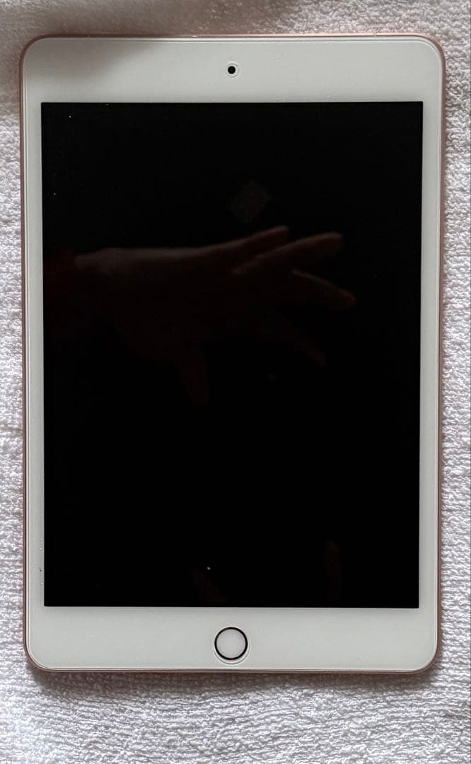 iPad mini 7.9インチ第5世代 Wi-Fi+Cellular 64GB