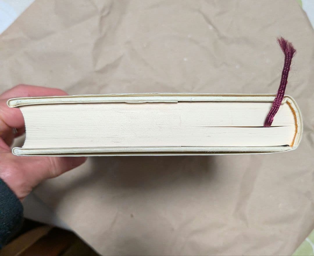 円の支配者 誰が日本経済を崩壊させたのか　リチャード A ヴェルナー