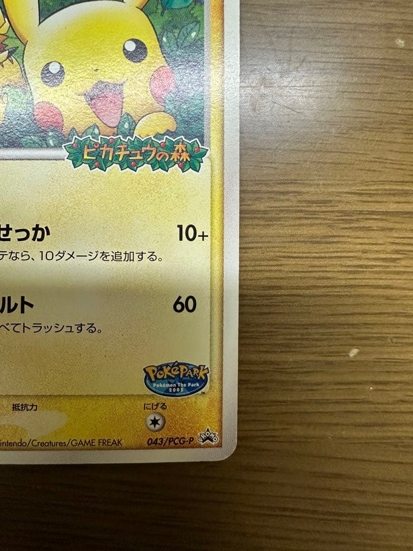 ポケパークのピカチュウ 043/PCG-P