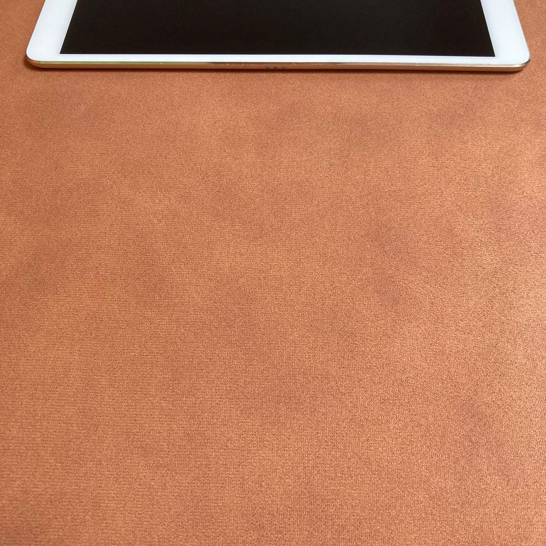 50【早い者勝ち】iPad Pro 256GB 10.5インチ WIFIモデル☆