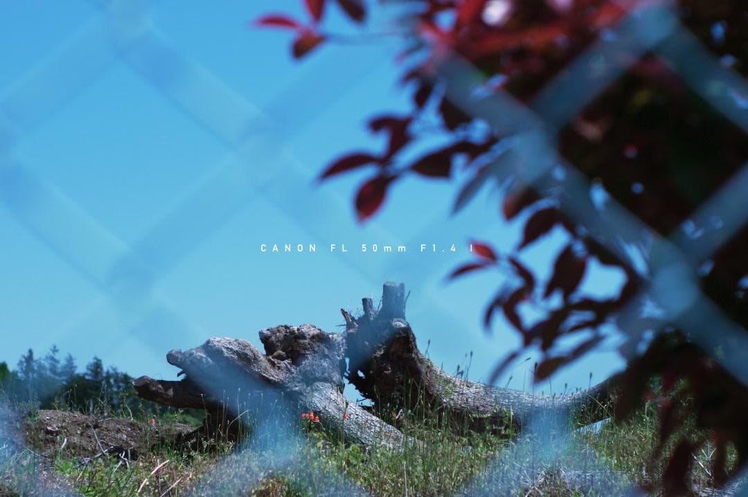 ★美品★ キャノン CANON FL 50mm F1.4 I 単焦点レンズ