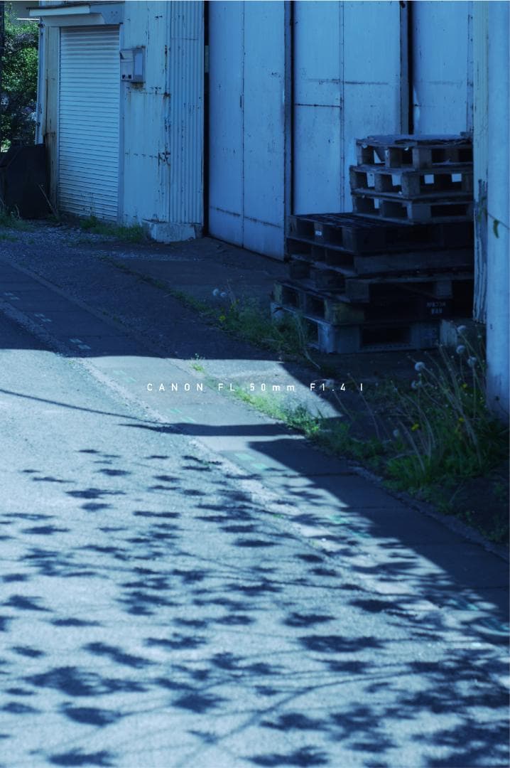 ★美品★ キャノン CANON FL 50mm F1.4 I 単焦点レンズ